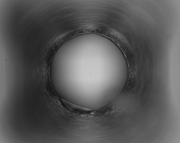 X0000096710773200802191507