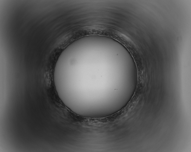 X0000096710774200802191507