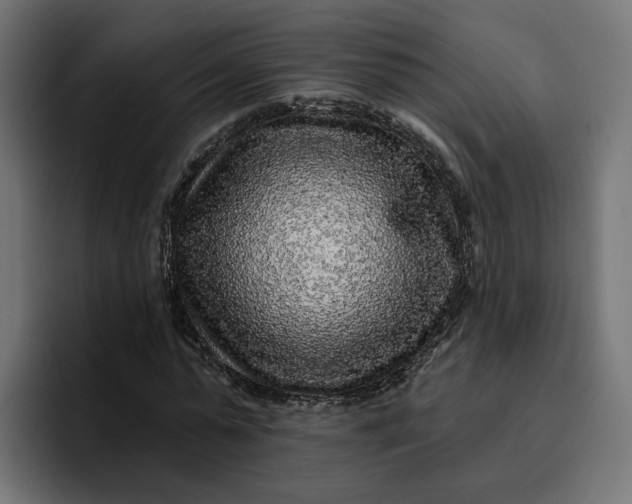 X0000096710775200802191507