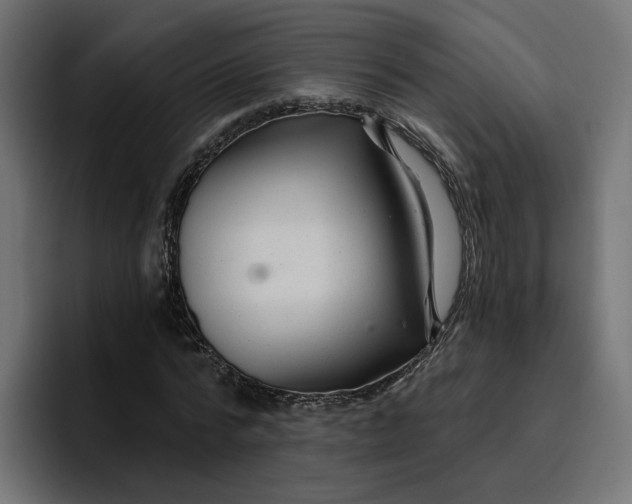 X0000096710776200802191507