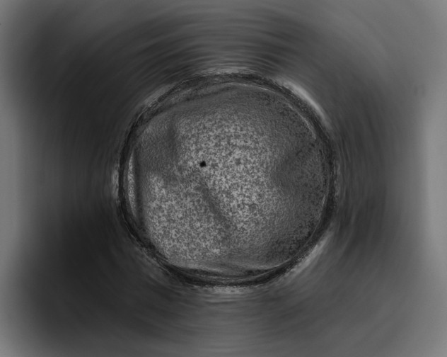 X0000096710777200802191507