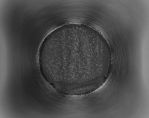 X0000096710779200802191507