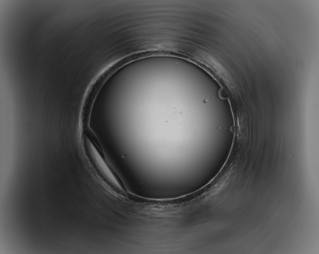 X0000096710780200802191507