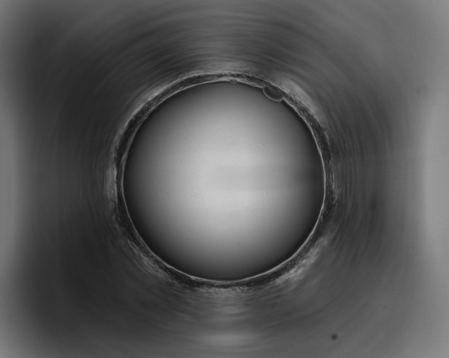 X0000096710781200802191507