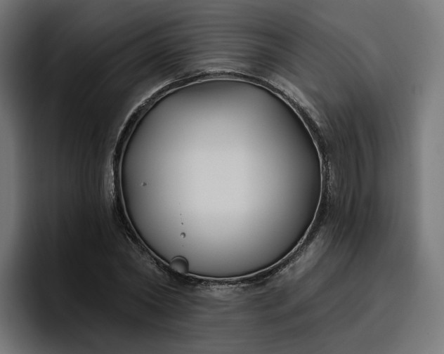 X0000096710782200802191507