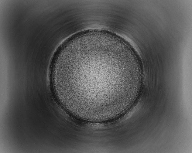 X0000096710783200802191507