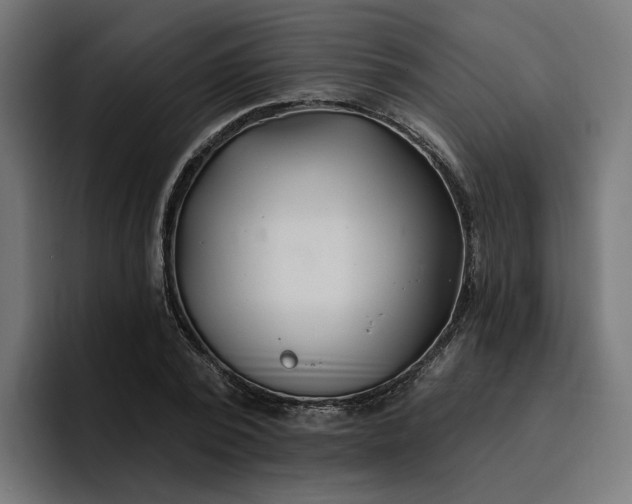 X0000096710784200802191507