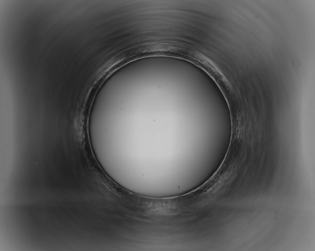 X0000096710786200802191507