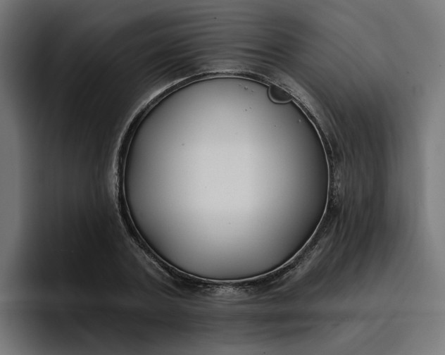 X0000096710787200802191507