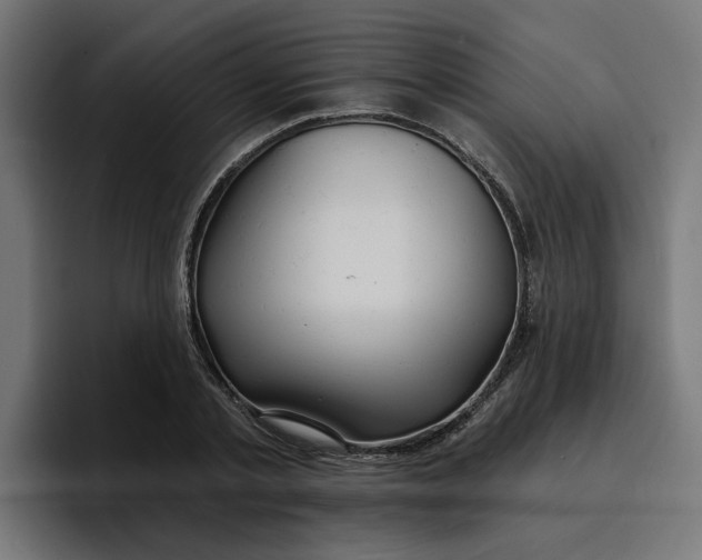 X0000096710789200802191507