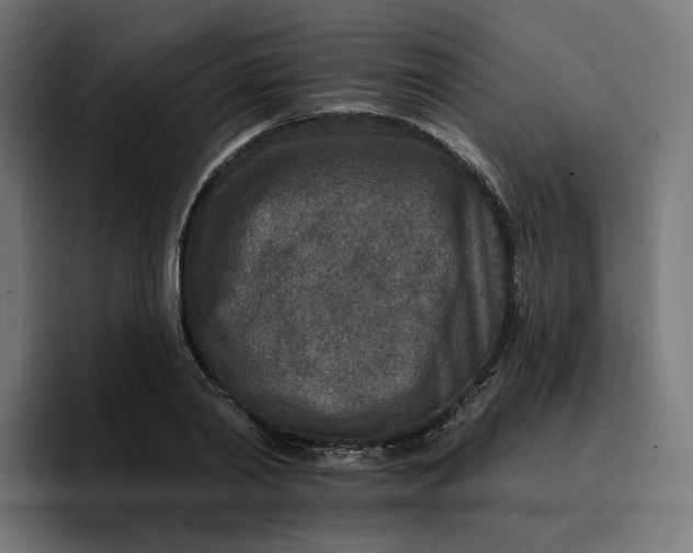 X0000096710790200802191507