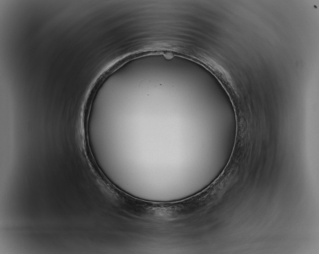 X0000096710792200802191507