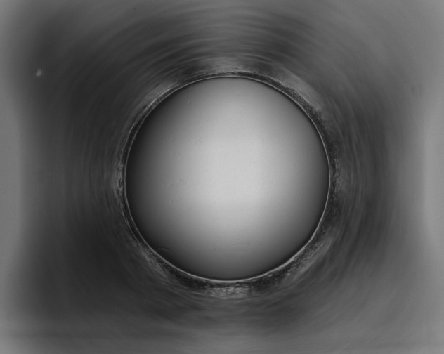 X0000096710793200802191507