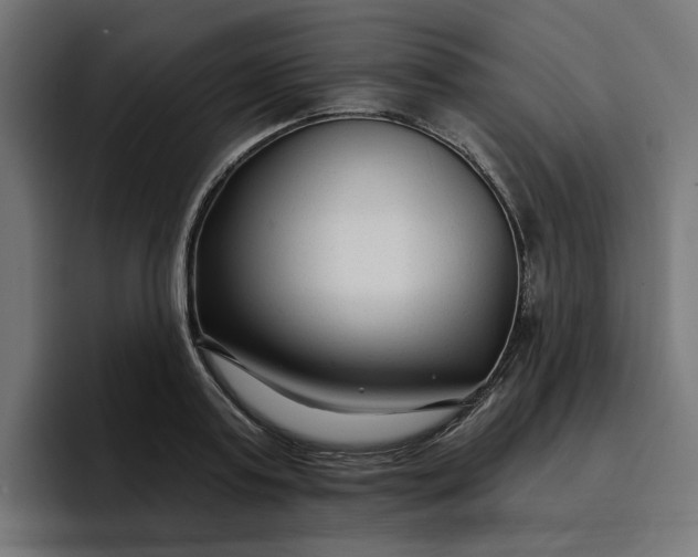 X0000096710795200802191507