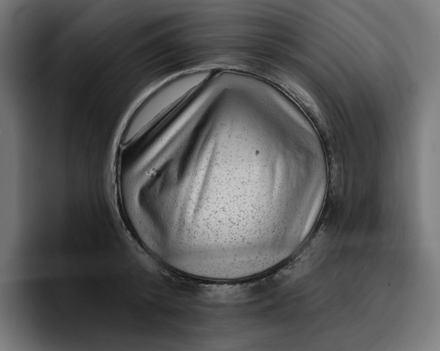 X0000096710800200802191507