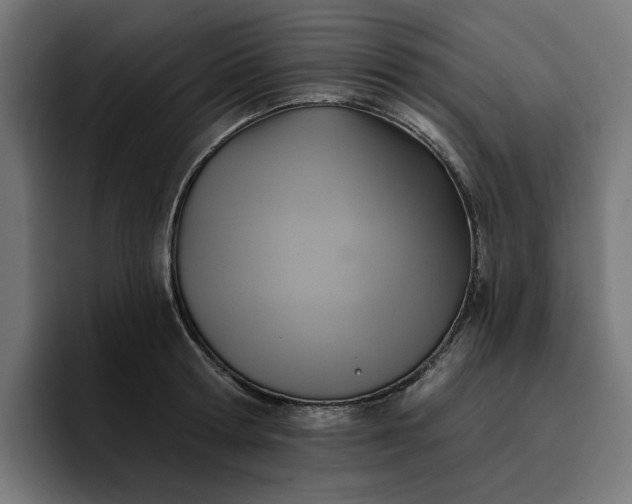 X0000096710802200802191507