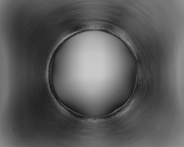 X0000096710803200802191507