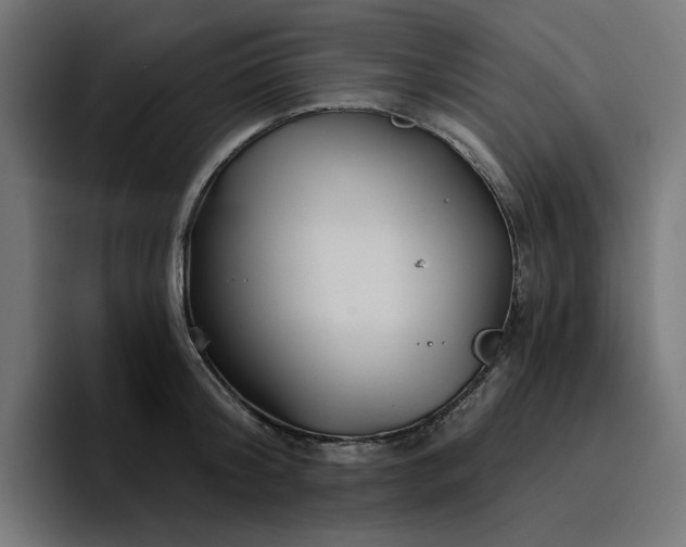 X0000096710804200802191507