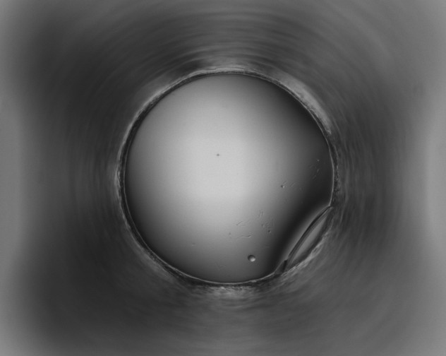 X0000096710805200802191507