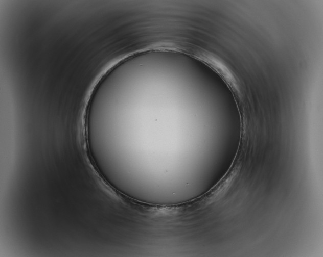 X0000096710808200802191507