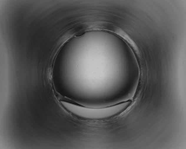 X0000096710809200802191507