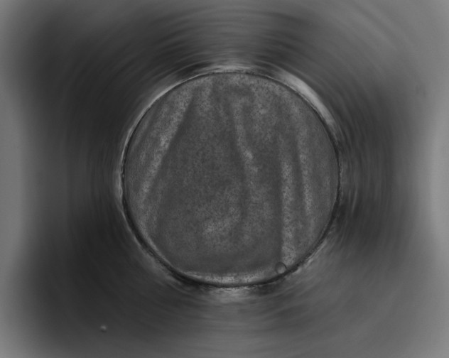 X0000096710810200802191507