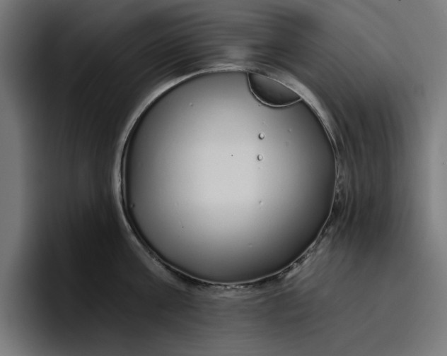 X0000096710811200802191507