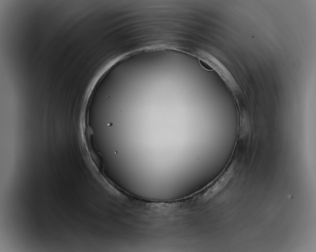 X0000096710812200802191507