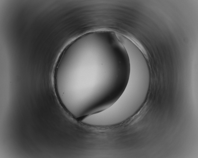 X0000096710813200802191507