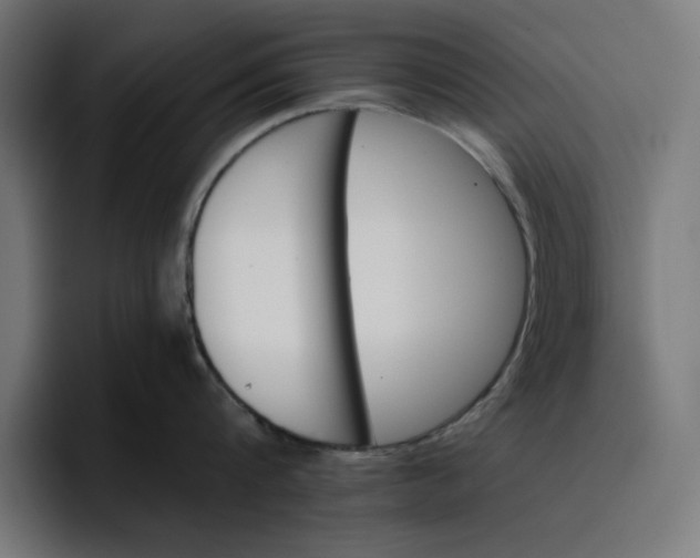 X0000096710816200802191507