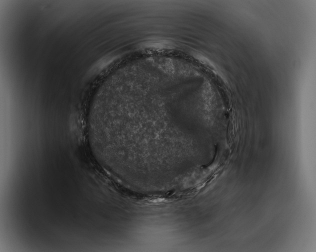 X0000096710822200802191506