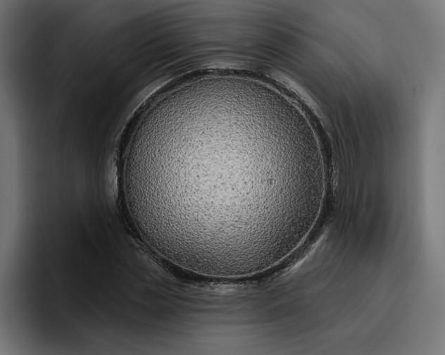 X0000096710829200802191506