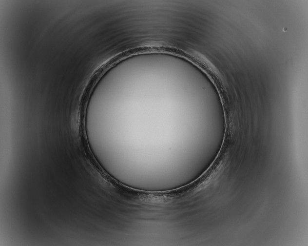 X0000096710831200802191506