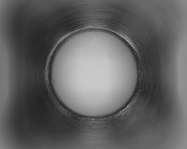 X0000096710832200802191506