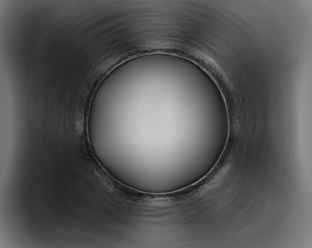 X0000096710833200802191506