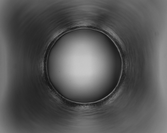 X0000096710834200802191506