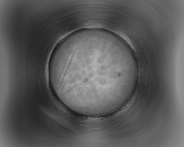 X0000096710840200802191506