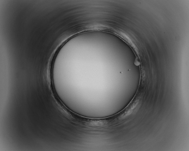 X0000096710843200802191507