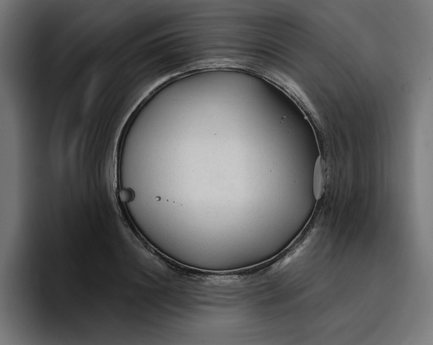 X0000096710844200802191507