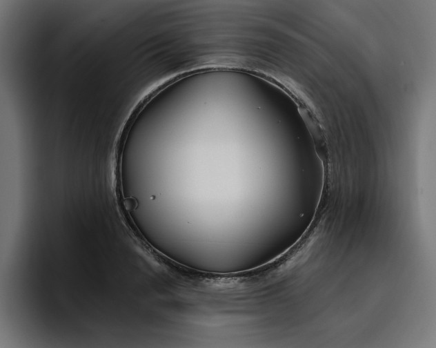 X0000096710846200802191507