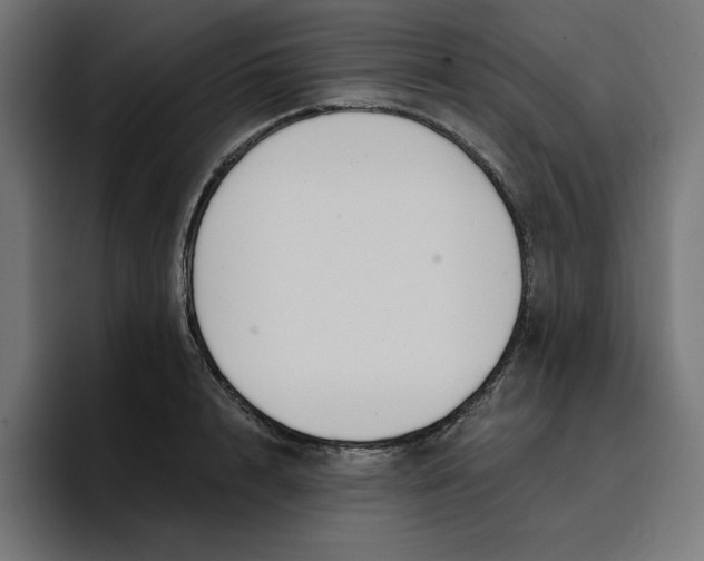 X0000096710848200802191507