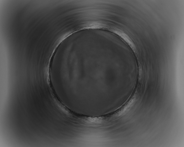 X0000096710850200802191507