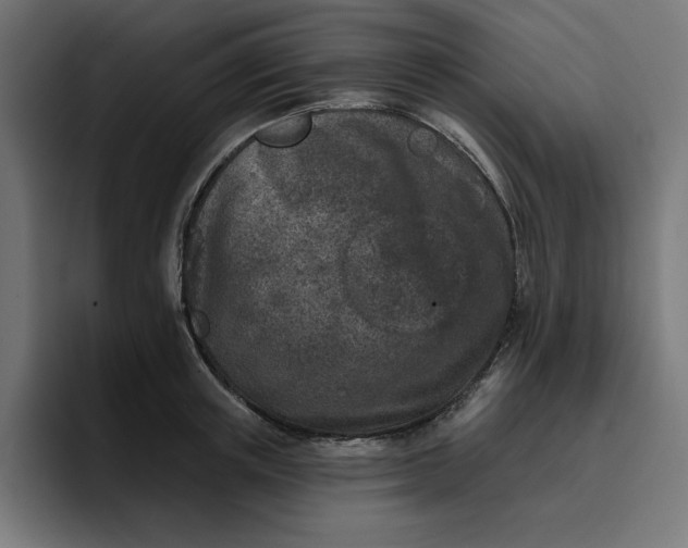 X0000096710851200802191507