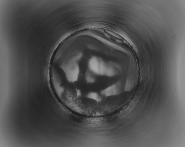 X0000096710853200802191507