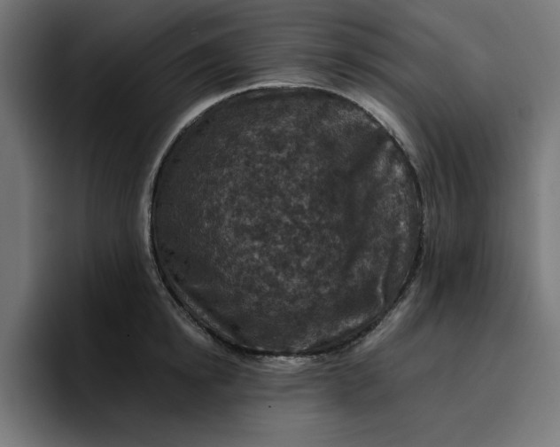 X0000096710854200802191507