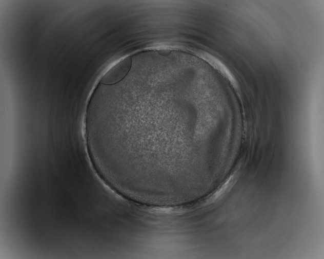 X0000096710855200802191507