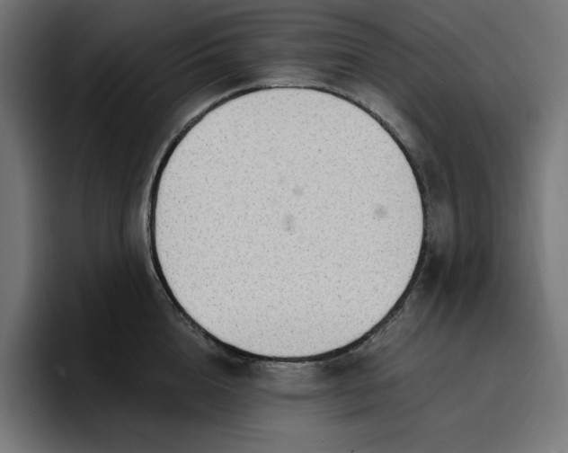 X0000096710856200802191507