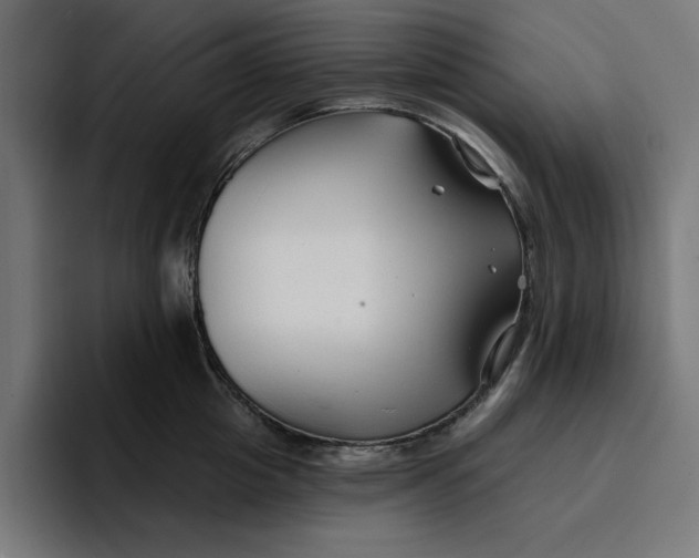 X0000096710857200802191507