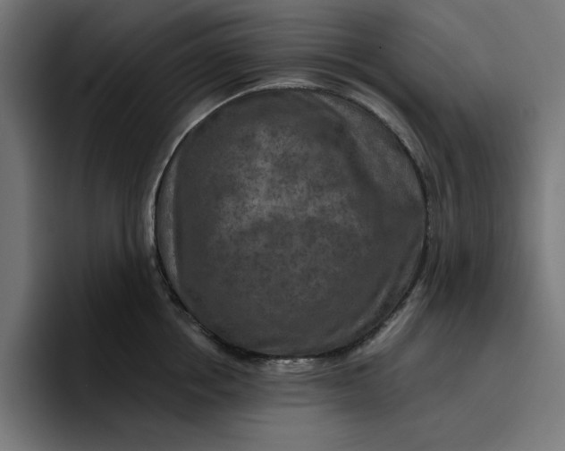 X0000096710858200802191507