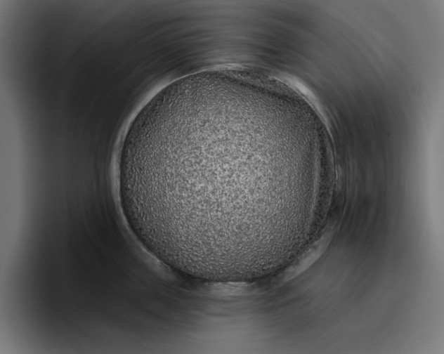 X0000096710859200802191507